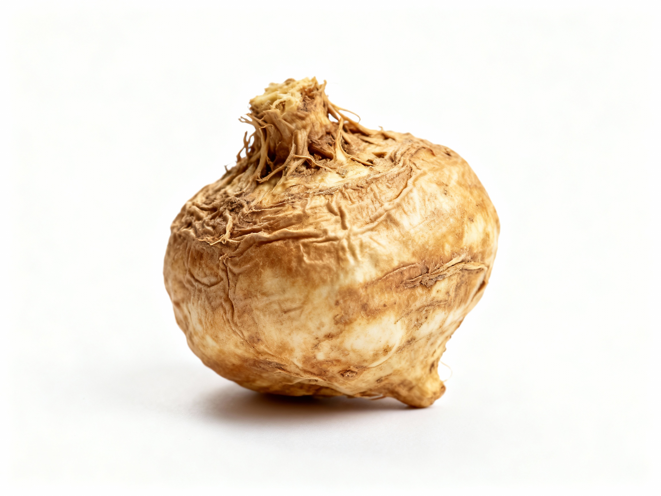 Raíz de Maca - superalimento energético andino